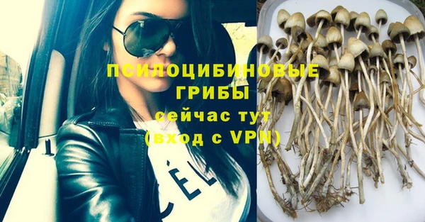 прущая мука Горняк