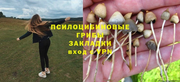 прущая мука Горняк