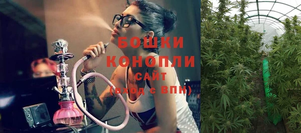альфа пвп Горнозаводск
