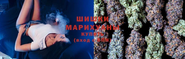 прущая мука Горняк